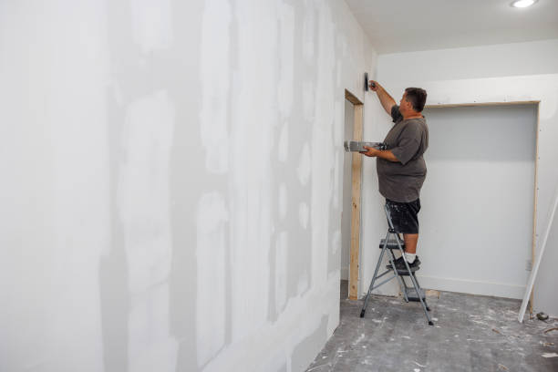 Mold Remediation for Rental Properties in Carlsbad, NM