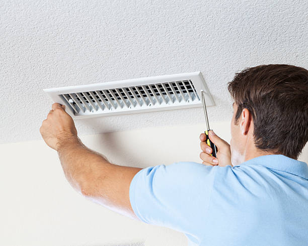 Best Mold Odor Removal Services  in Carlsbad, NM