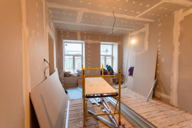 Best Industrial Mold Remediation  in Carlsbad, NM